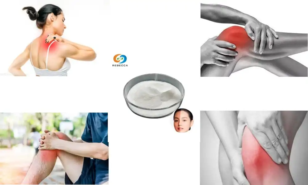 Pure Bromelain Powder for Joint Health and Inflammation